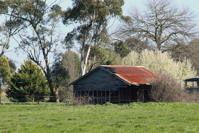 Yarragon