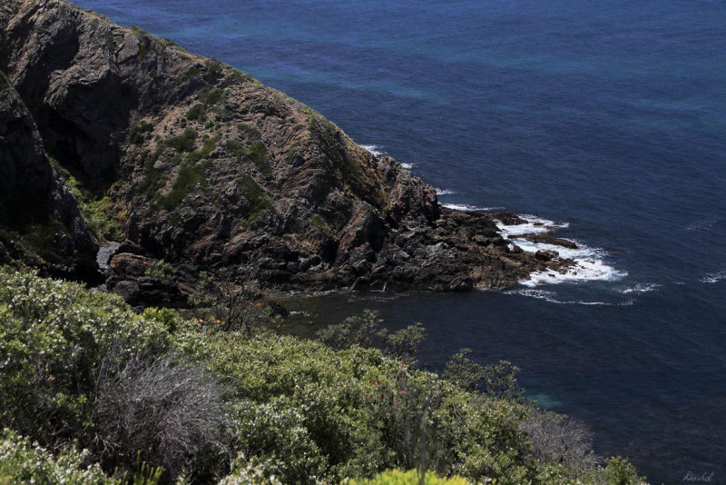 Cape Liptrap