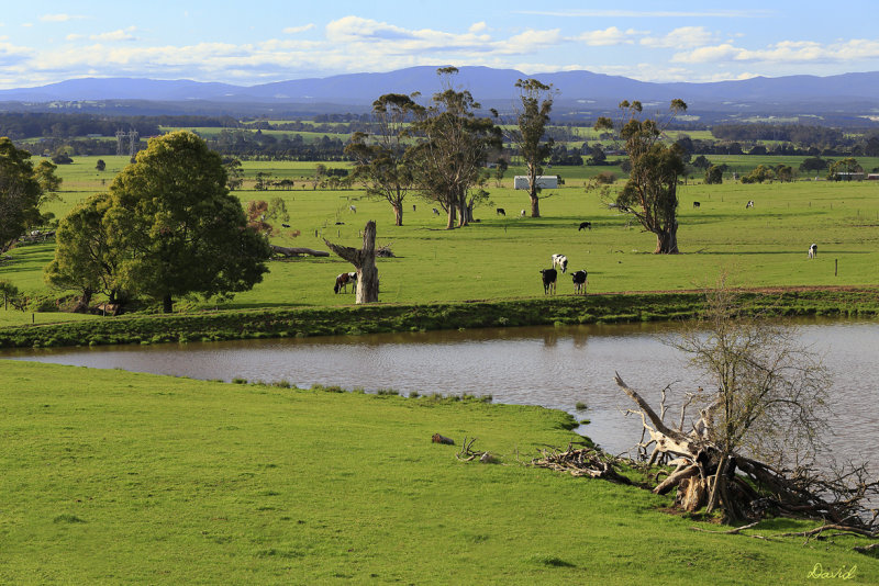 Yarragon Countryside