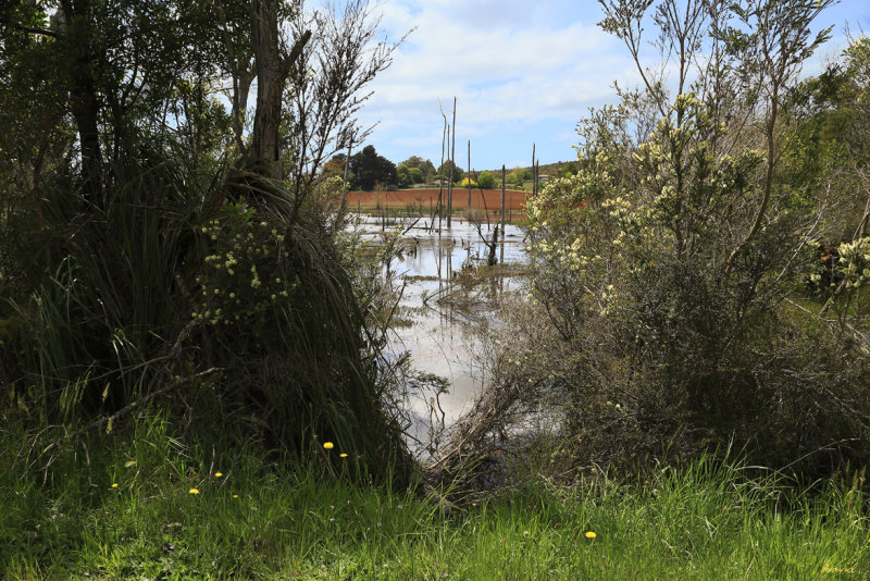 Farm Dam