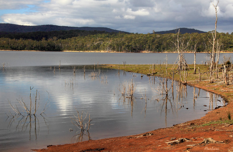 Blue Rock Lake