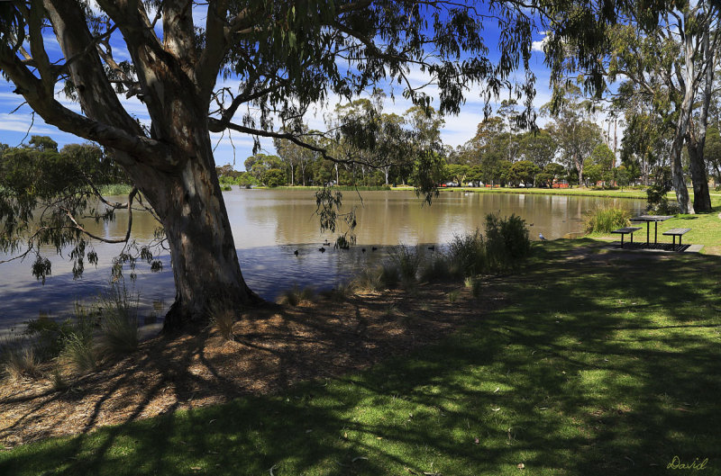 Lake Gutheridge