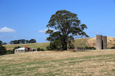 Knox's Rockhill Farm