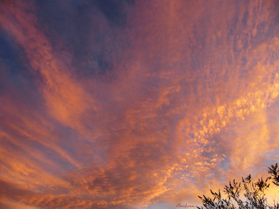 Tapestry of Clouds