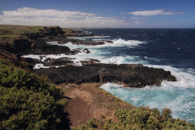 Rough Seas