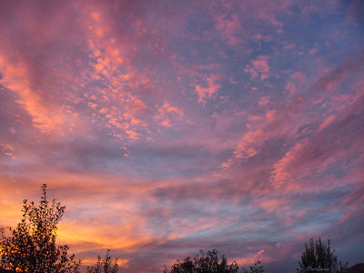 Sunrise from our backyard