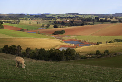 Thorpdale Farmland