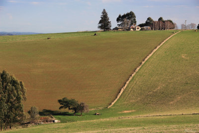 The House on The Hill