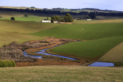 Colours of Thorpdale