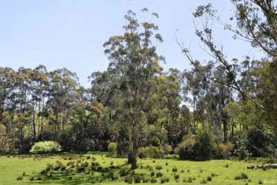 Tarago Reservoir Park