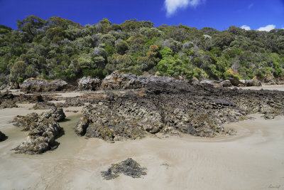 Walkerville Beach