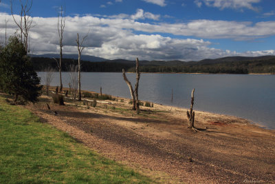 Blue Rock Lake