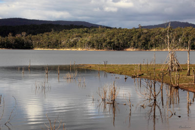 Blue Rock Lake