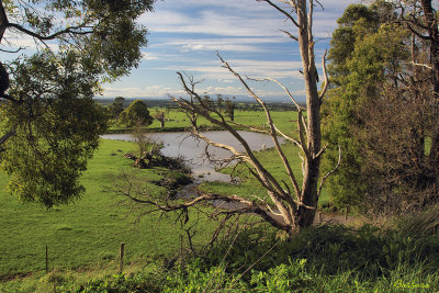 Yarragon Countryside