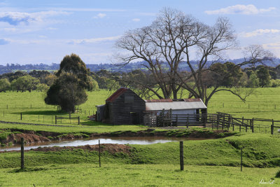 Yarragon Countryside