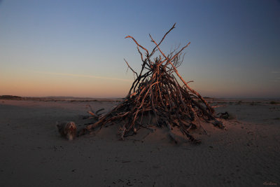 Evening on the beach