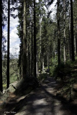 De grote oversteek Landschap 