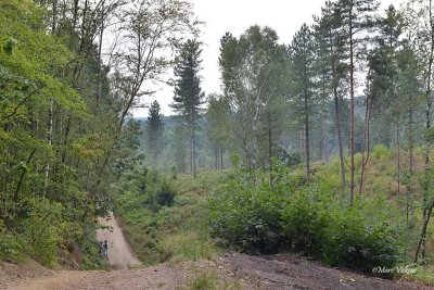 de grote oversteek Hoge Kempen