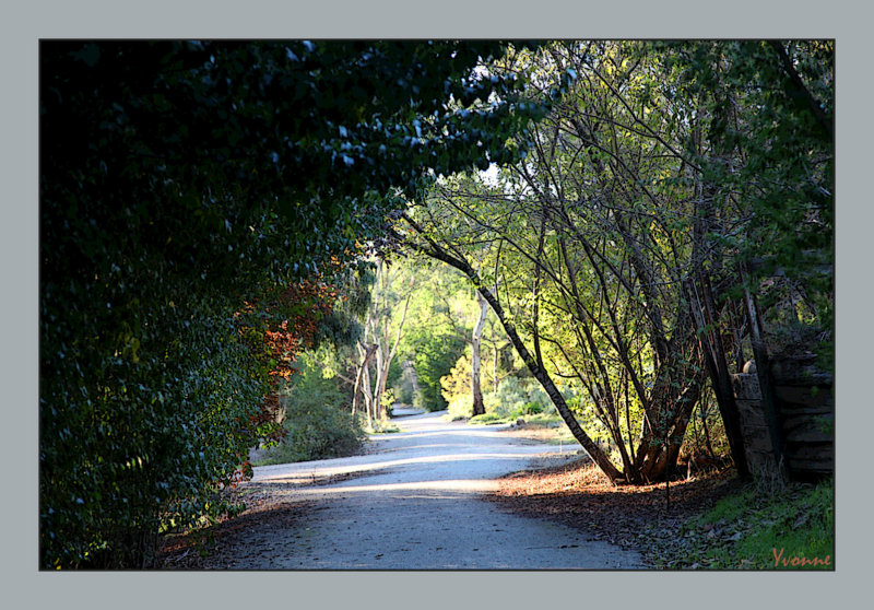 Walking the Riesling Trail