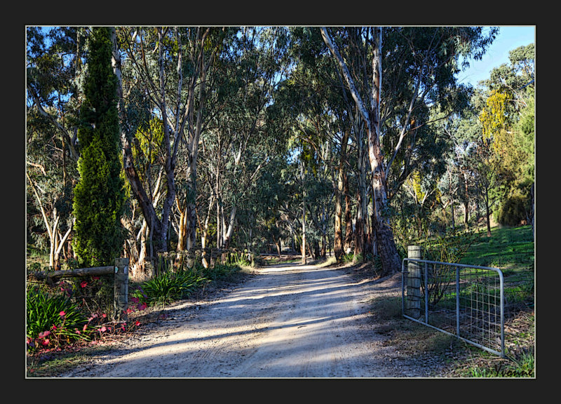 Gateway off the trail