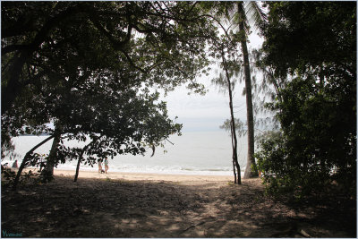 Shady Pathway to the Beach