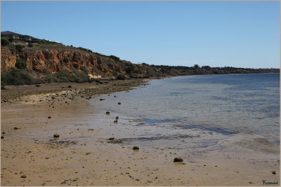 At low tide