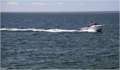 Off to work on the briny
