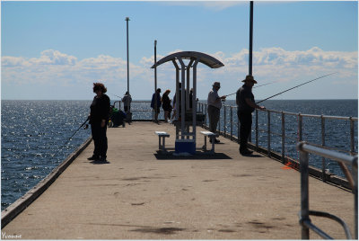 Jetty fishing