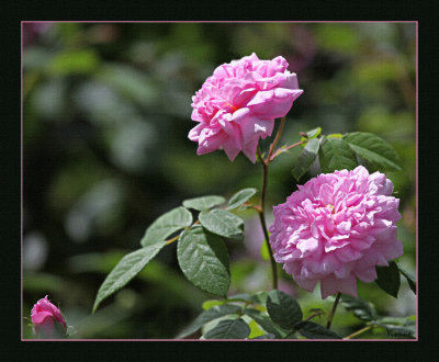 g10/49/99249/3/168327168.m5X3Iw0D.jpg