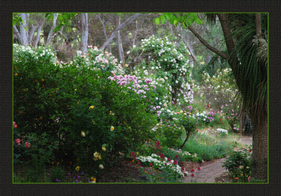 Up the garden path