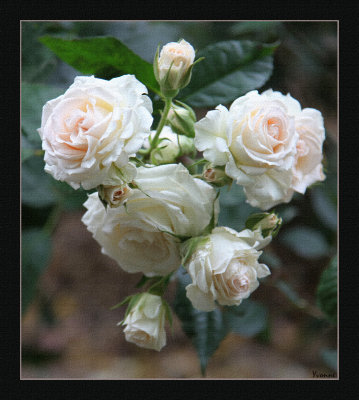 g10/49/99249/3/168422340.1XFXbrb5.jpg