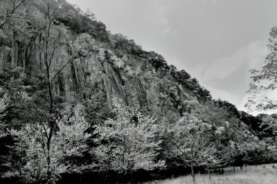 g10/50/1174650/3/161286385.xOTuny3I.jpg