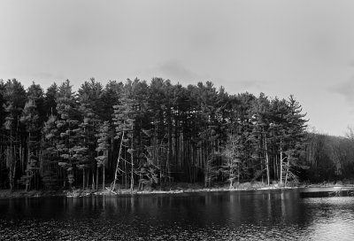 g10/50/1174650/3/168630849.5RYGnyEN.jpg
