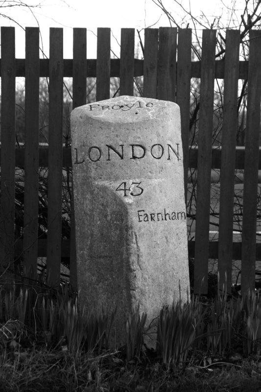 33:365<br>Milestone at Froyle