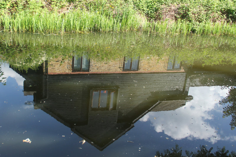 177:365<br>Basingstoke Canal Reflection