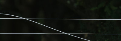 6. Three Wires Crossing
