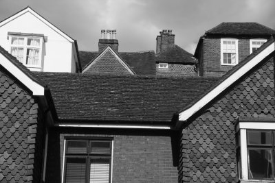 174:365<br>Rooflines in Guildford