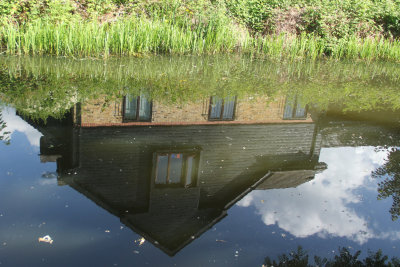 177:365<br>Basingstoke Canal Reflection