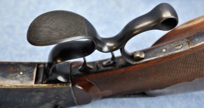Trigger Guard With Integral Palm Rest