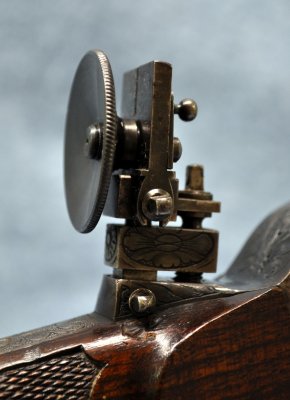 Tang Sight, Right Side with Controls 
