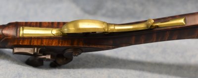 Trigger guard