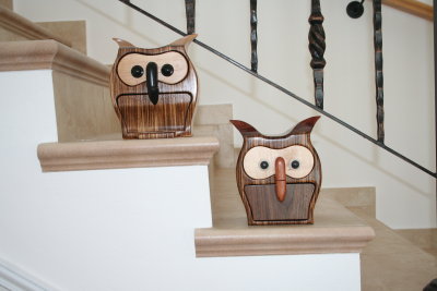 a pair of owls bandsaw boxes