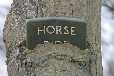 Forget the sign, where is the horse.