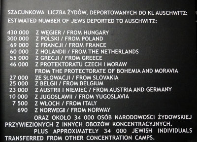 Deported to Auschwitz