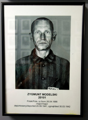 Zygmunt Modelski