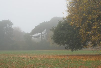 Foggy Greenwich