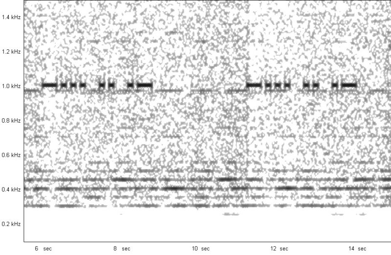 NDB_BIA_474kHz_Mar042018_2156z_Twente_rem.jpg