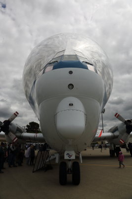 7T0A0337_adj.JPG