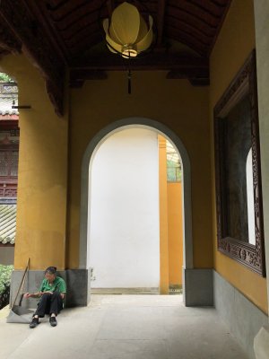 IMG_6305.jpg