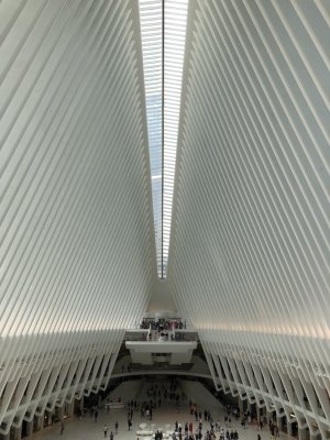 IMG_8452.jpg